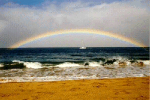 Susan A. Levine's "Embraced By a Rainbow"