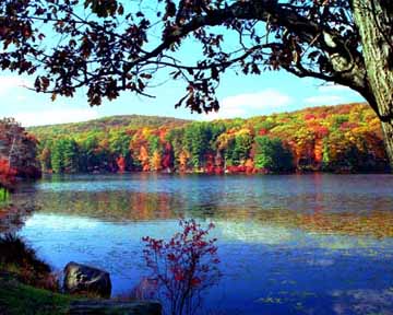 Click for Autumn Images