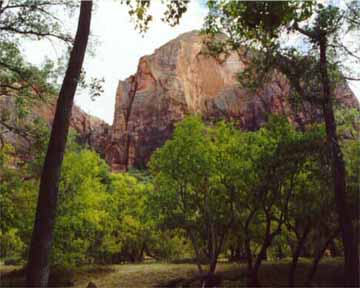 Zion Grandeur